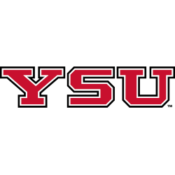 Youngstown State Penguins Alternate Logo 2014 - Present